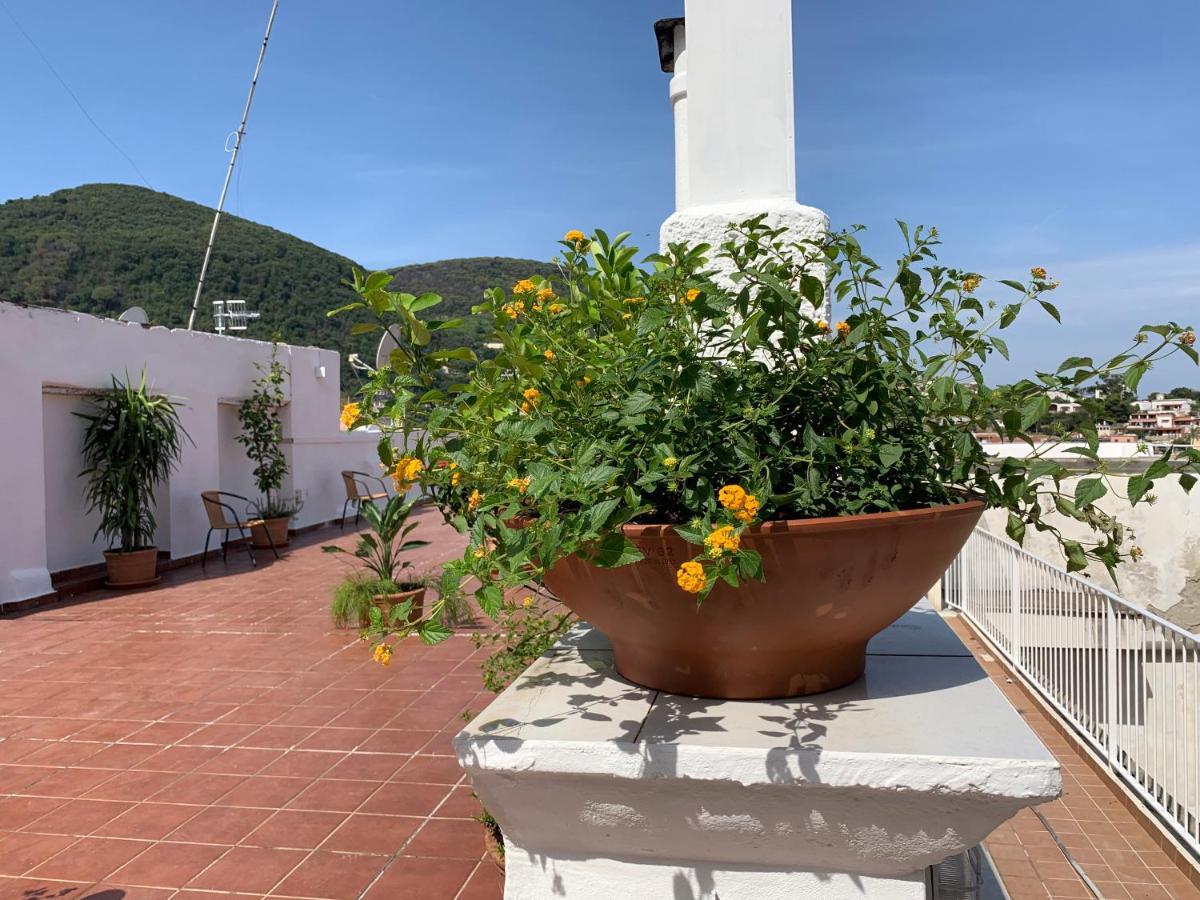 Molo35 Bed & Breakfast Иския Екстериор снимка